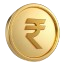 coin icon